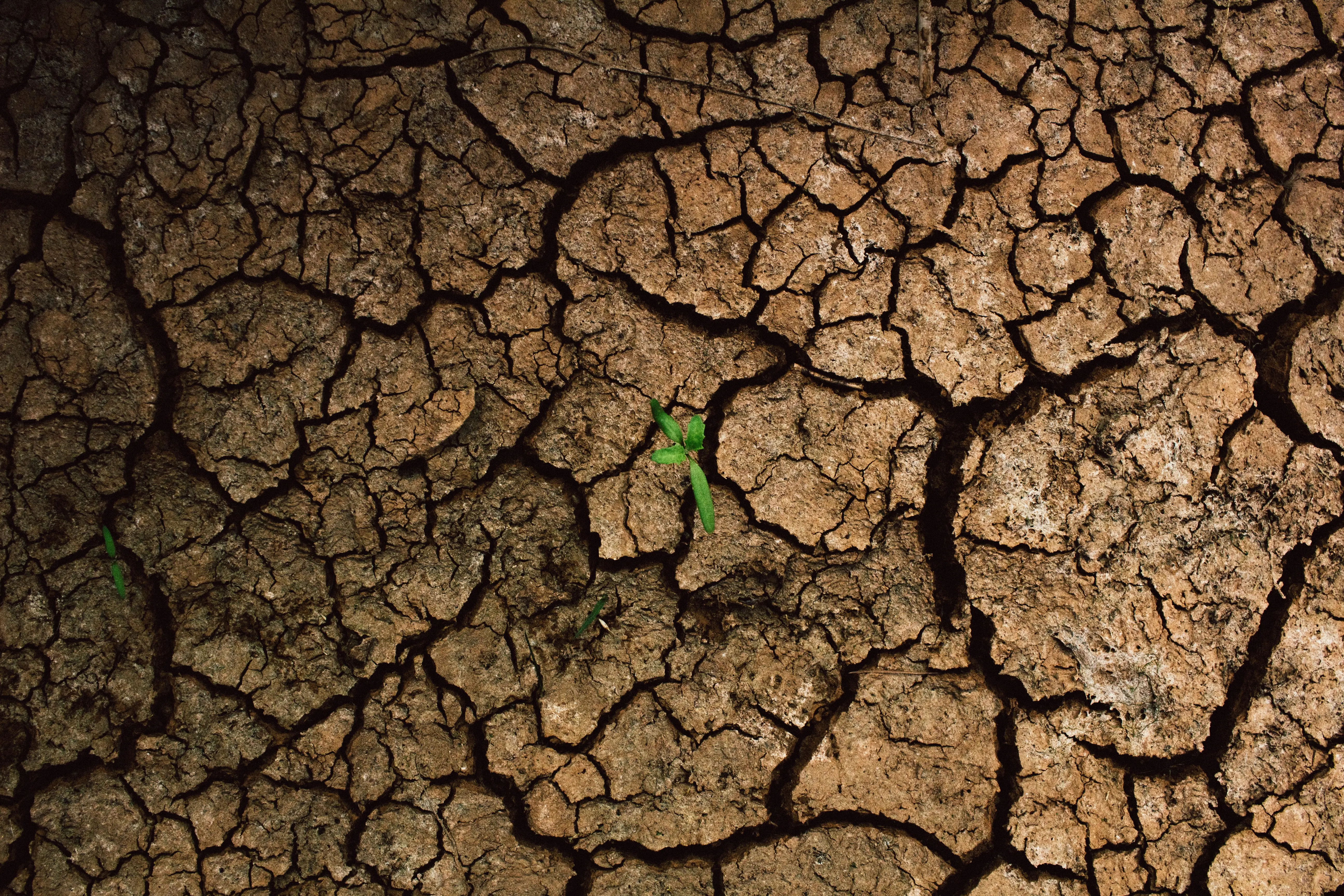 Water Shortages Push Food Costs Higher