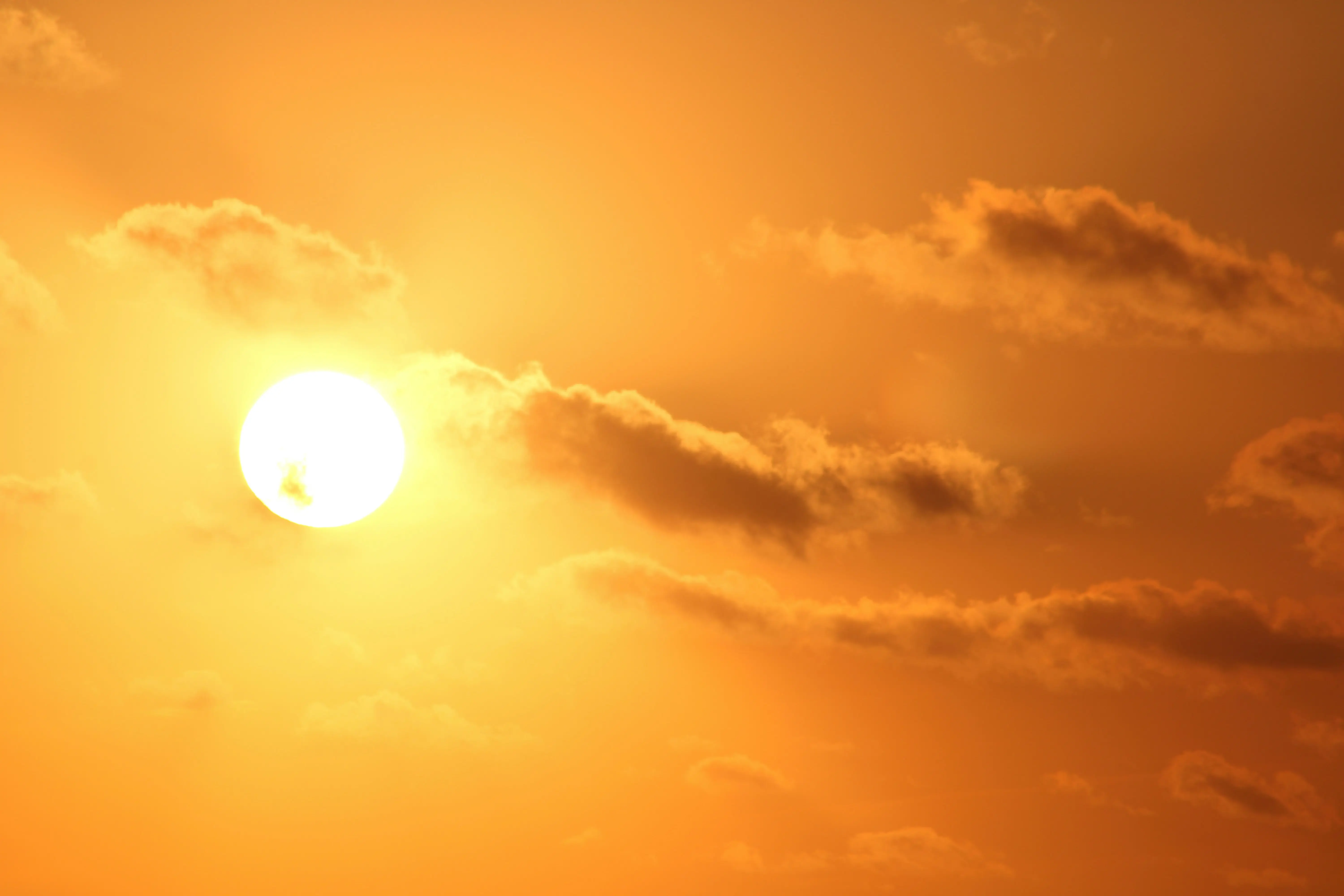 Heatwaves Force Changes to Work and Recreation