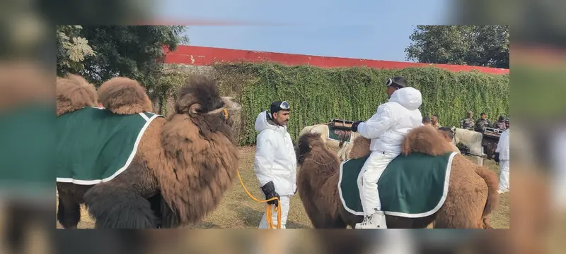 India’s double-humped Bactrian camels and native dog breeds to make Republic Day Parade debut India’s double-humped Bactrian camels and native dog breeds to make Republic Day Parade debut