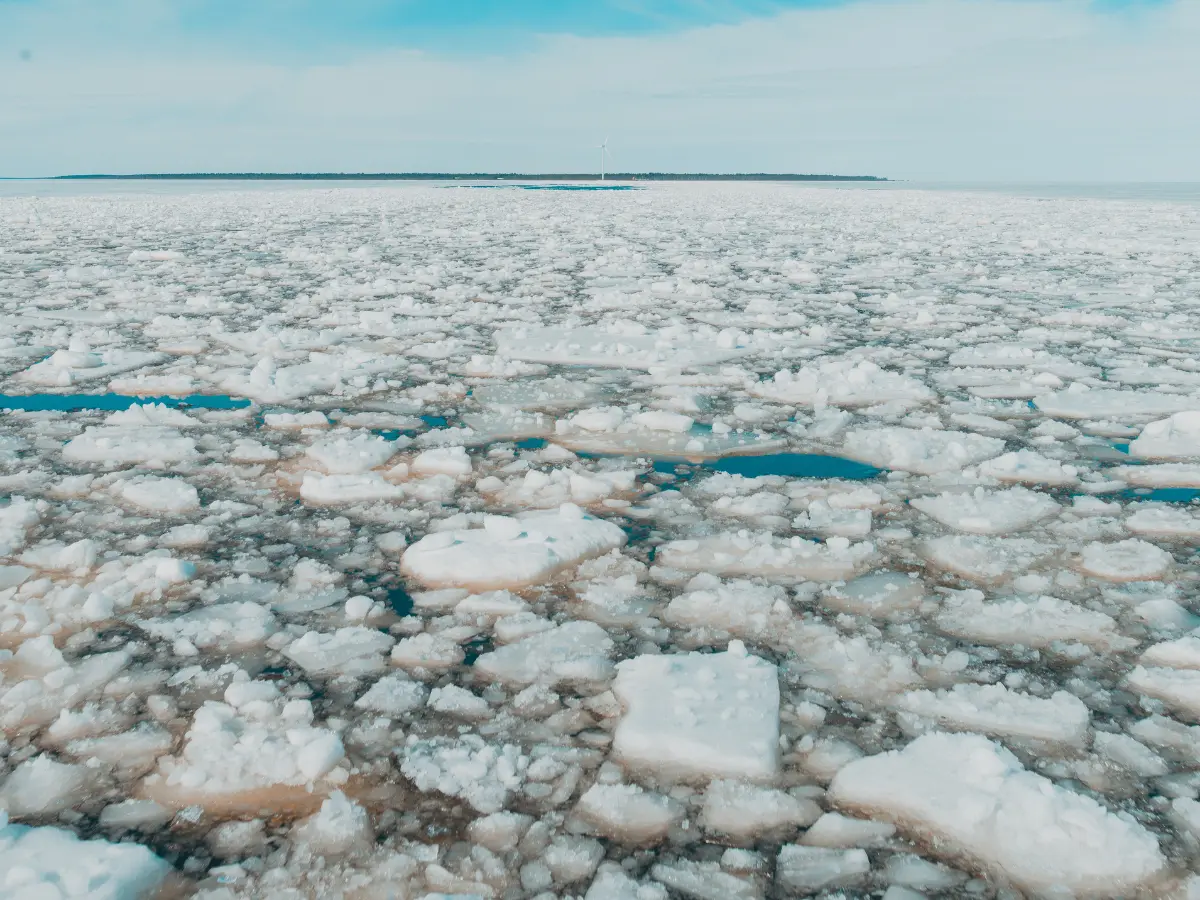 Scientists warn intense heat due to climate change could freeze Earth, ushering in a new Ice Age Scientists warn intense heat due to climate change could freeze Earth, ushering in a new Ice Age