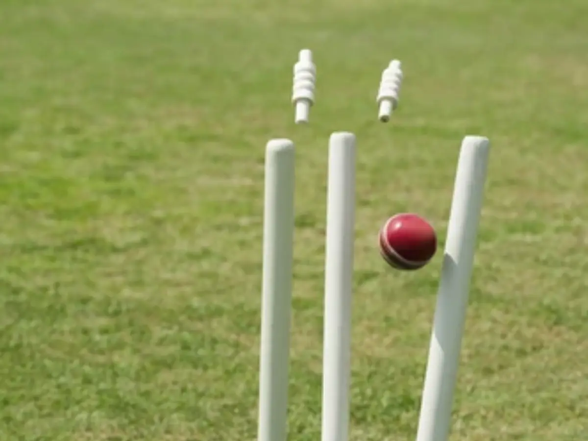 Elite 1000-Wicket Club