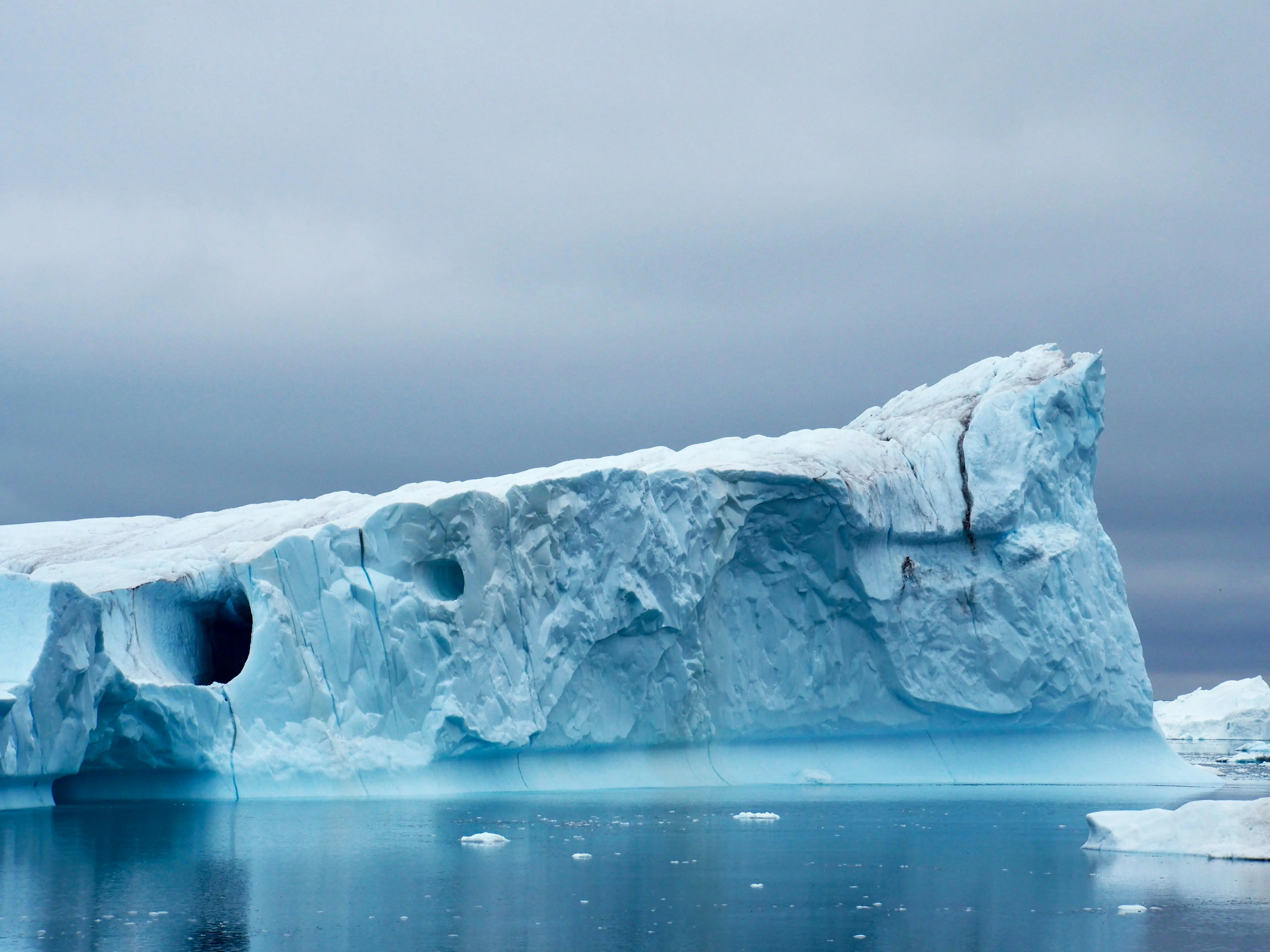 Scientists just found 'deep-sea oasis' in an Arctic region thought to be barren