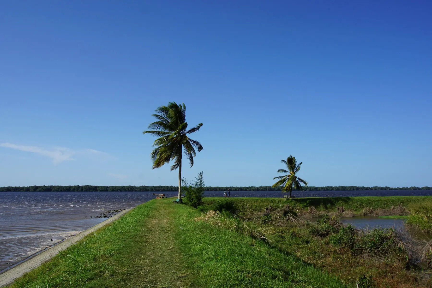 Suriname