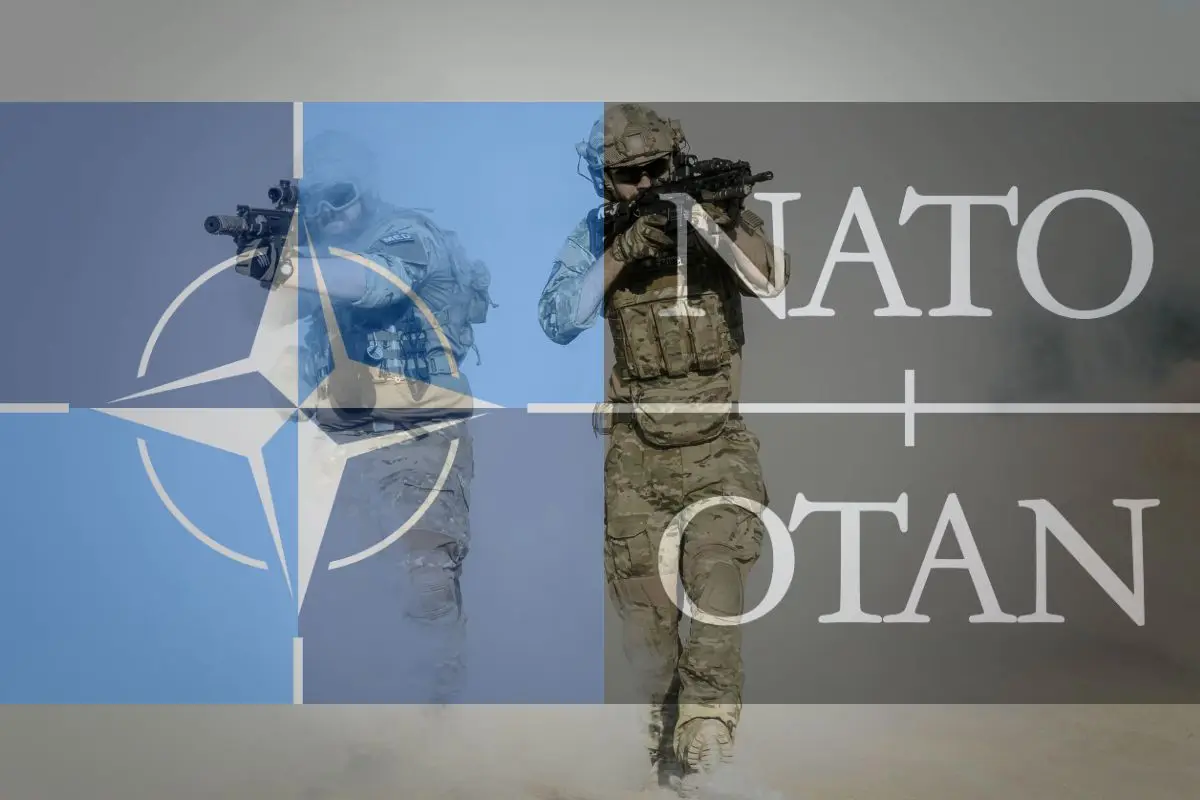 Where does Denmark stand in NATO? Revealing the top 7 most powerful militaries