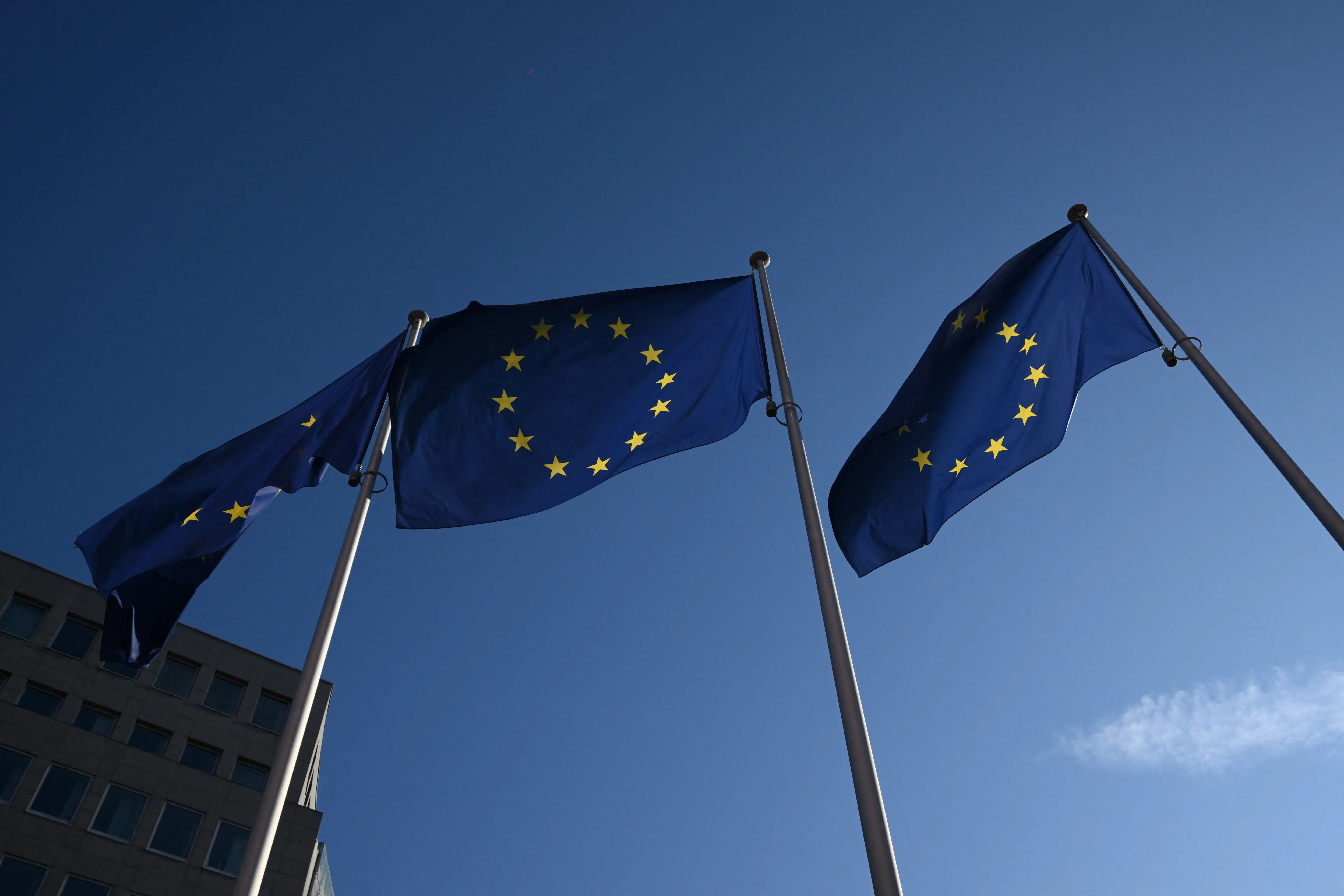 EU should consider forming combined military force to replace US troops: defence chief