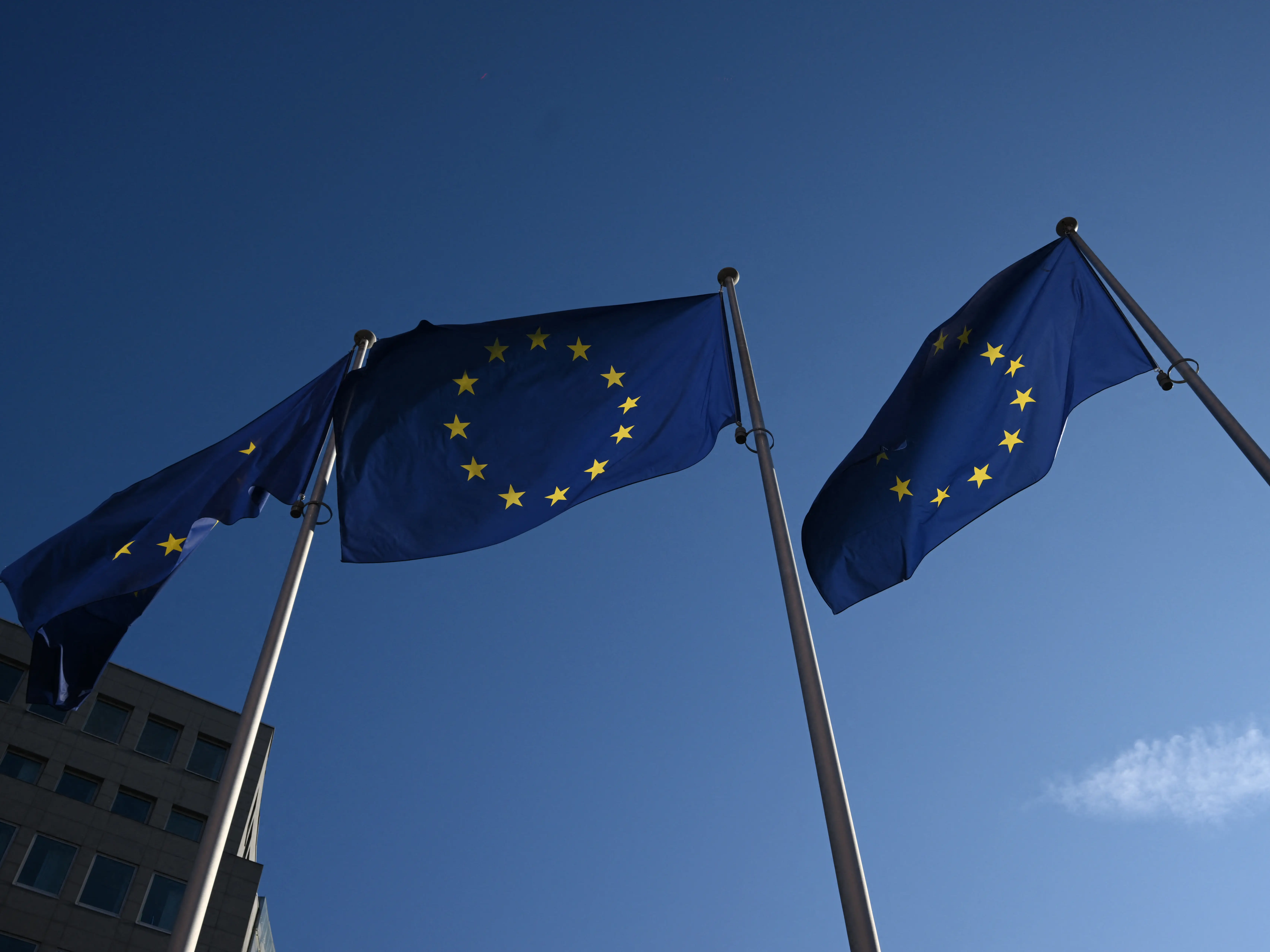 EU should consider forming combined military force to replace US troops: defence chief EU should consider forming combined military force to replace US troops: defence chief