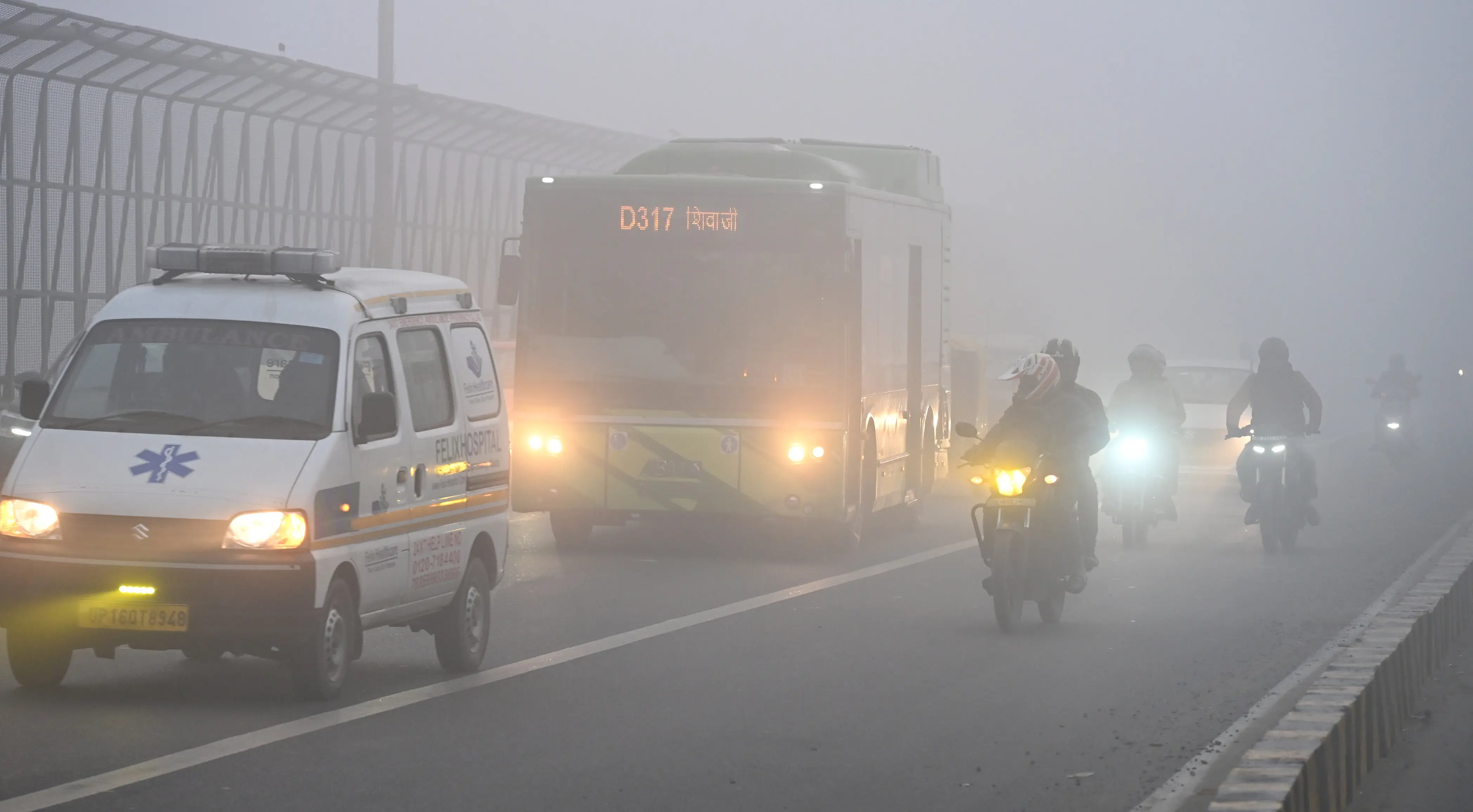 Delhi witnessed over 9,200 respiratory deaths in 2024; birth rate declined: Government data