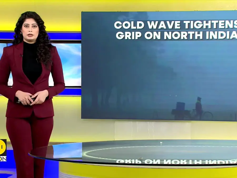 North India Cold: Severe Cold Persists in Delhi & Neighbouring States 