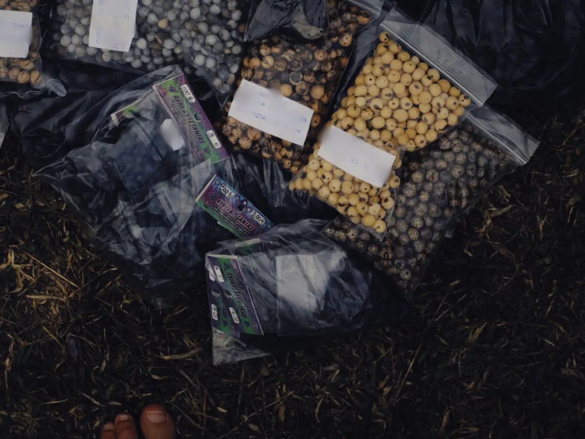 A plot to poison American crops? Chinese seeds packets are showing up at US homes A plot to poison American crops? Chinese seeds packets are showing up at US homes