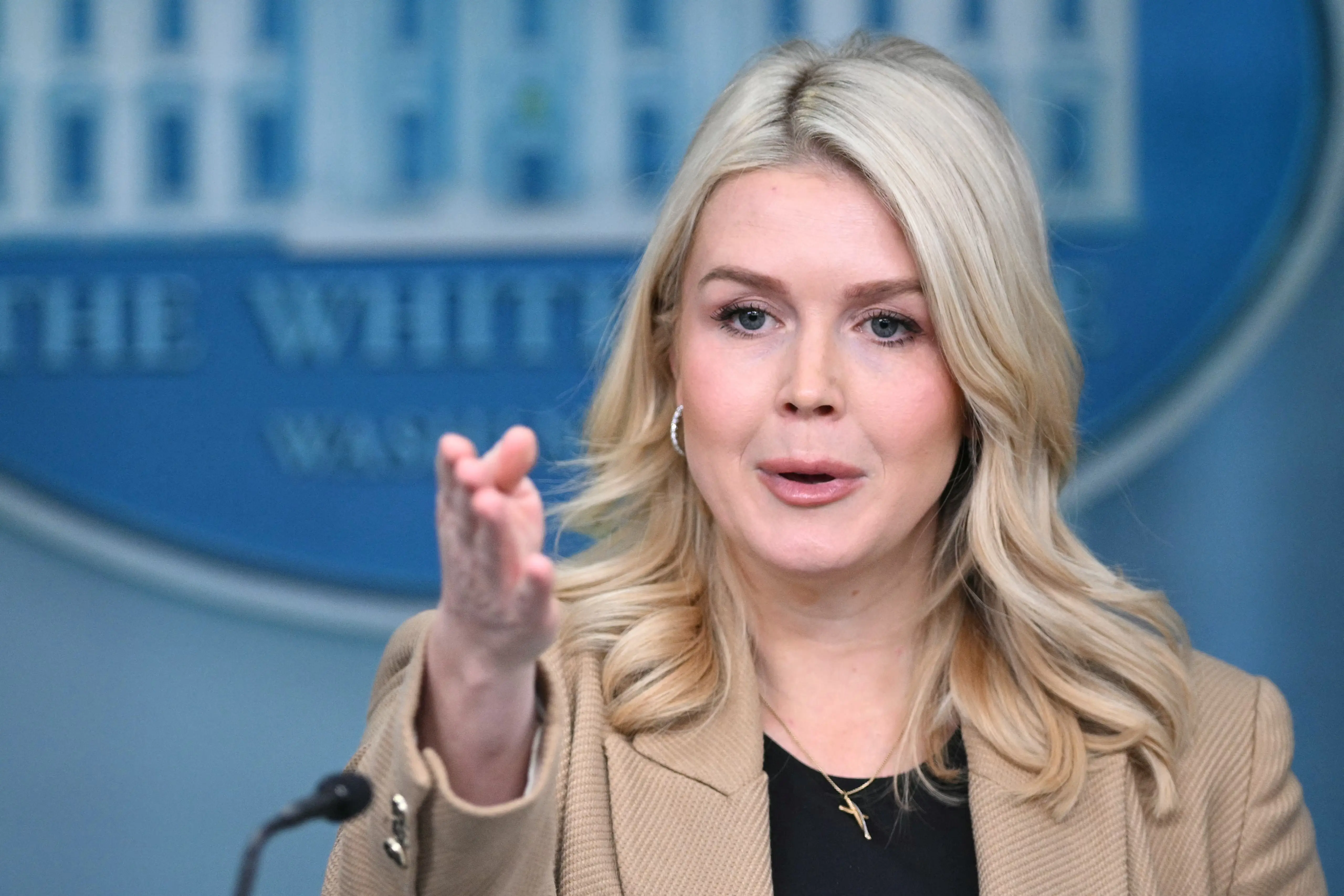 'You’re a left-wing activist’: Karoline Leavitt’s heated clash with reporter at White House goes viral