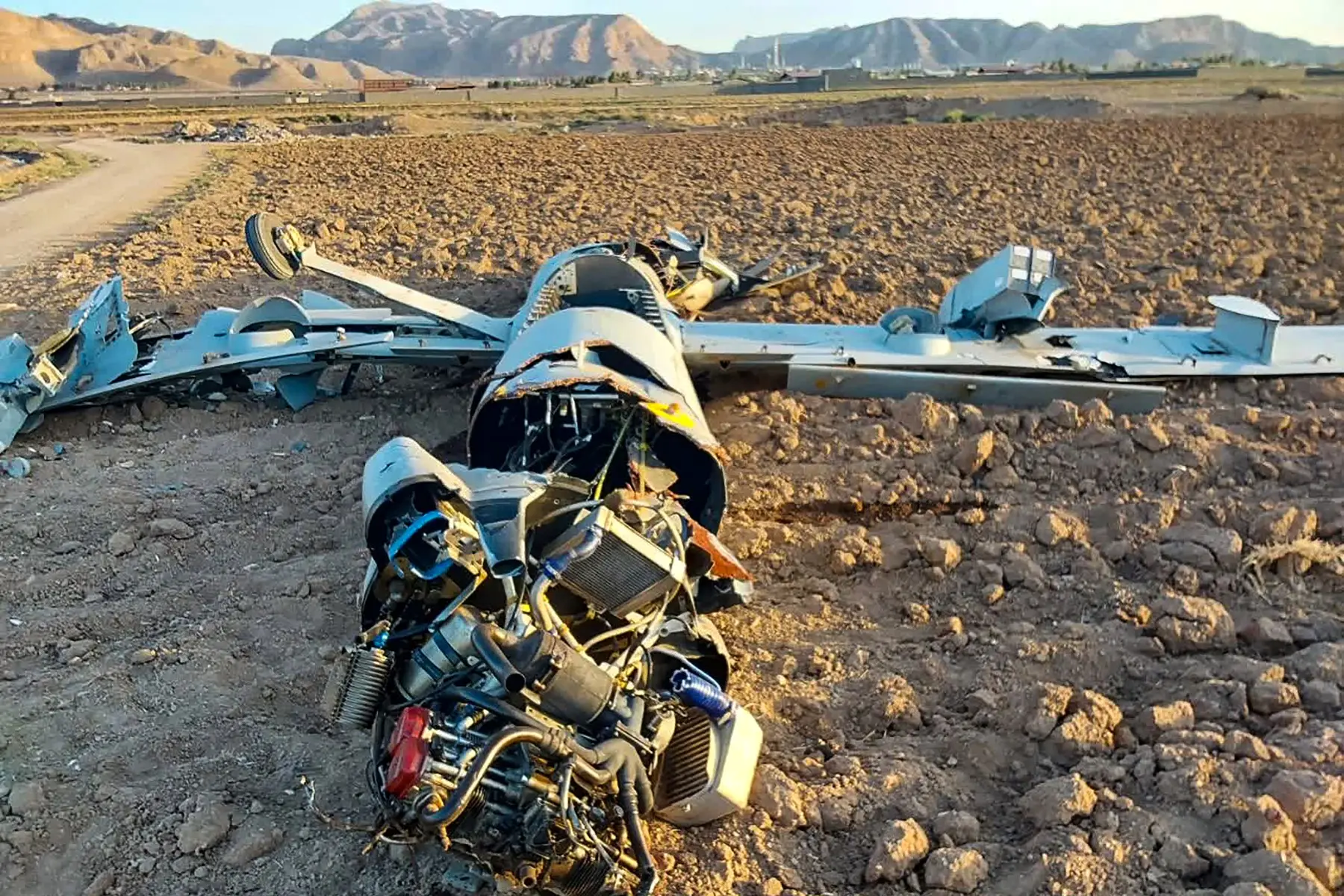 Suicide drones
