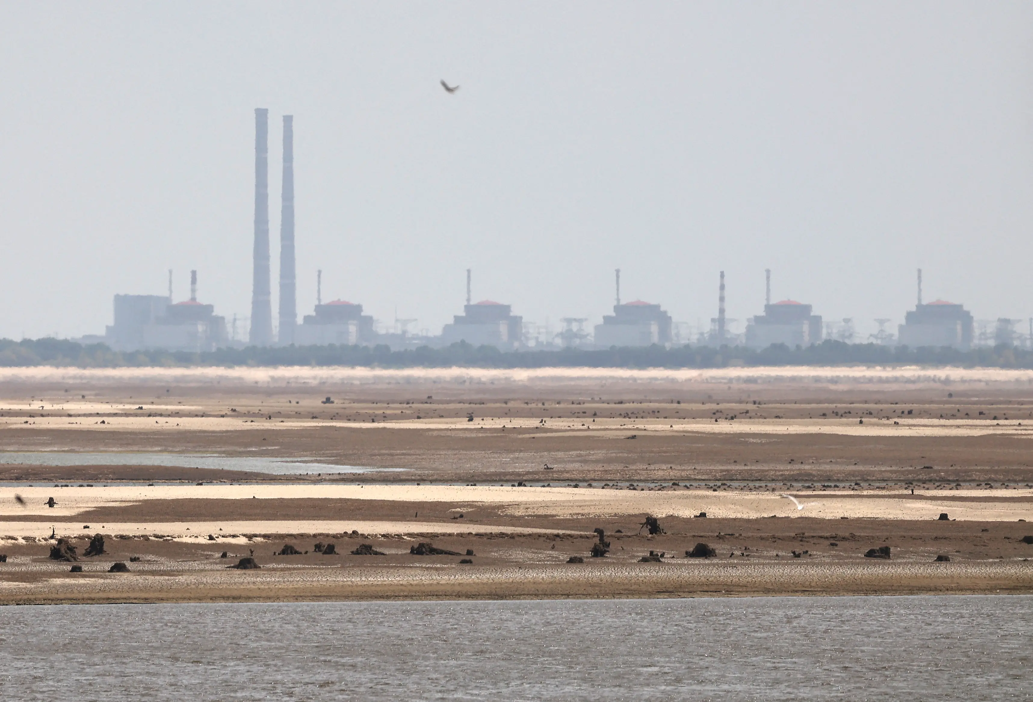 Europe’s biggest nuclear plant at stake: Russia, Ukraine agree to ‘localised ceasefire’ for repairs at Zaporizhzhia