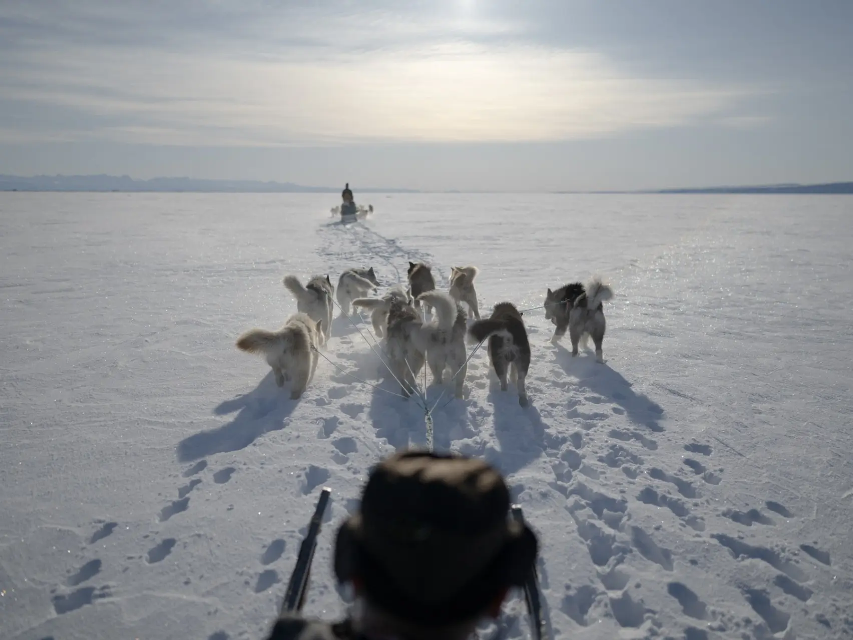 Political row erupts as Greenland dog sled federation disinvites US Envoy Jeff Landry Political row erupts as Greenland dog sled federation disinvites US Envoy Jeff Landry