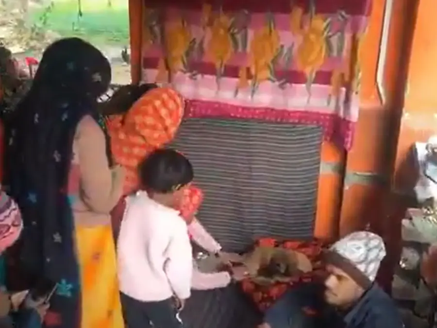 Stray dog or divine sign? Devotees begin worshipping dog circling Hanuman idol in Uttar Pradesh: VIDEO