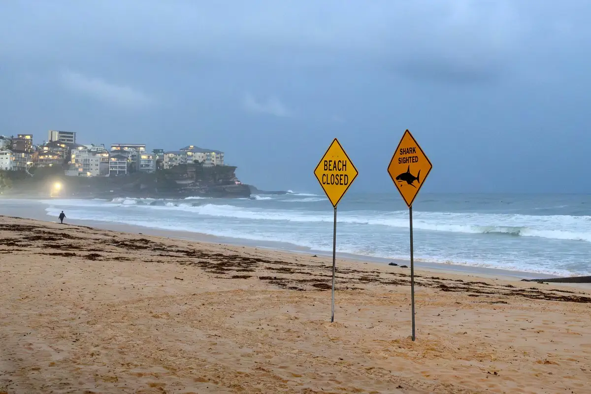 Fourth shark attack in 48 hours forces beach closures in Australia’s New South Wales – What we know