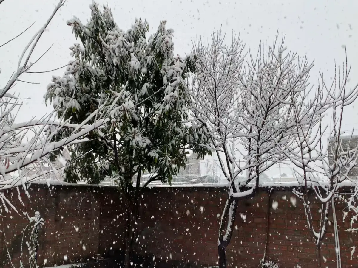 Severe snowstorm paralyzes Kashmir: Flights suspended, highways shut, power supply crippled