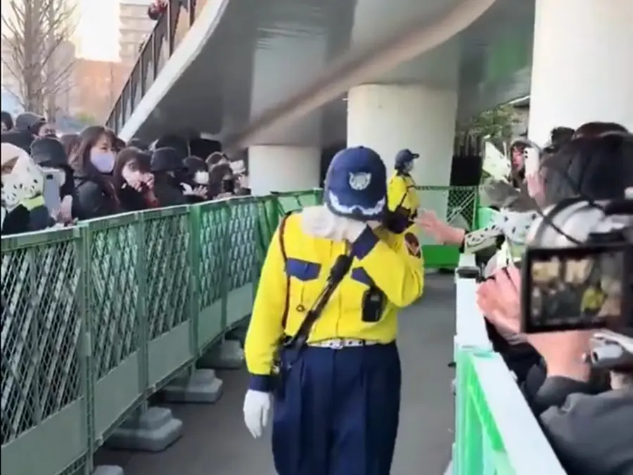 WATCH | Japan bids emotional farewell to last two pandas Xiao Xiao and Lei Lei before China return