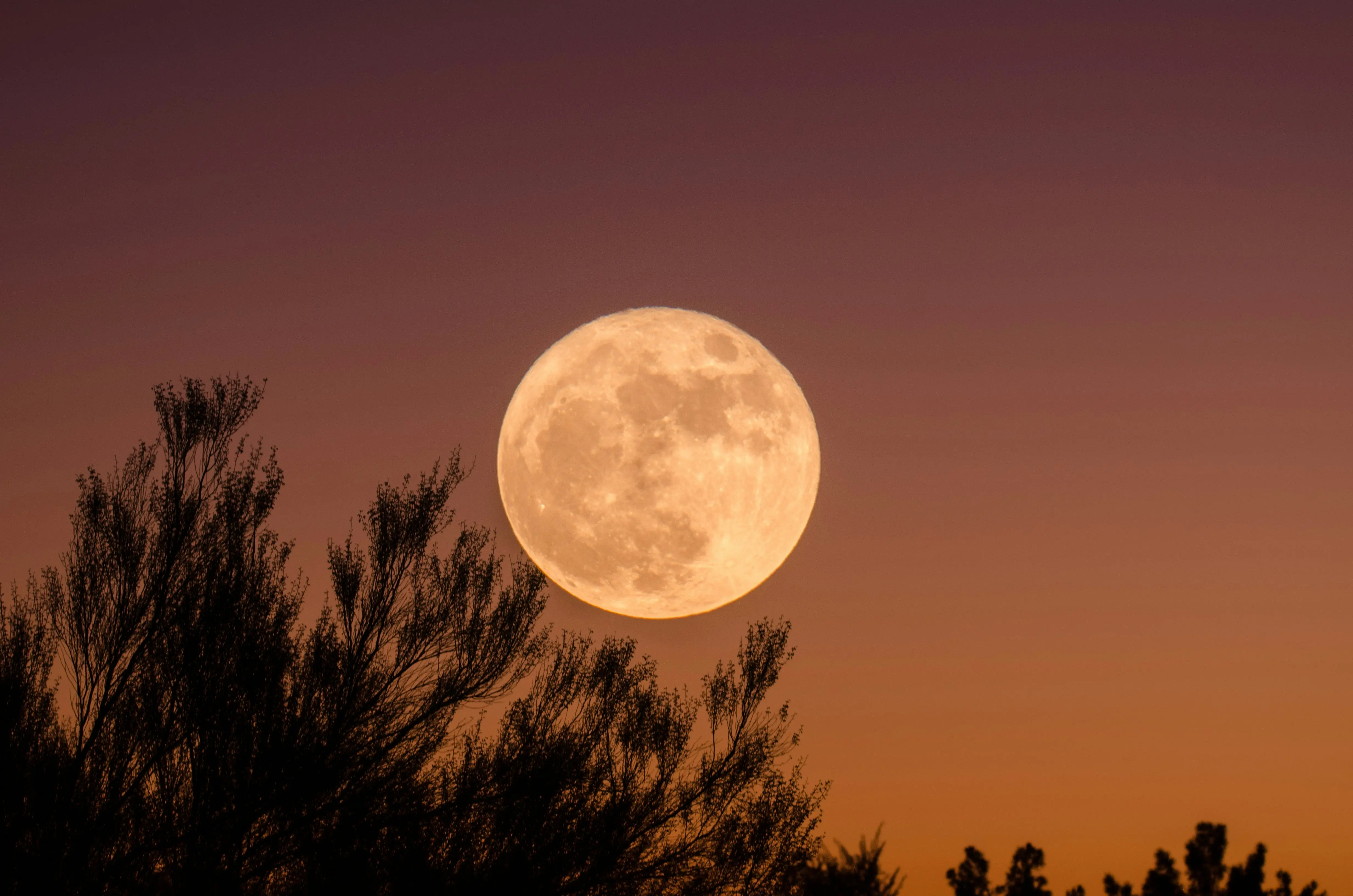 Why is it called the Snow Moon?