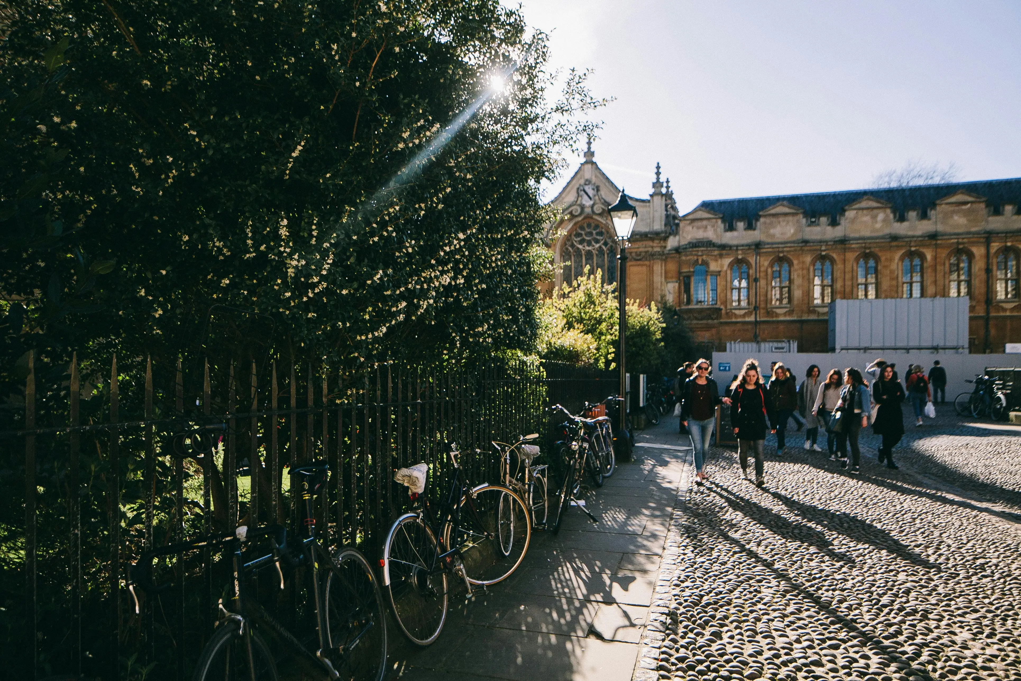 1. University of Oxford (UK | Public)