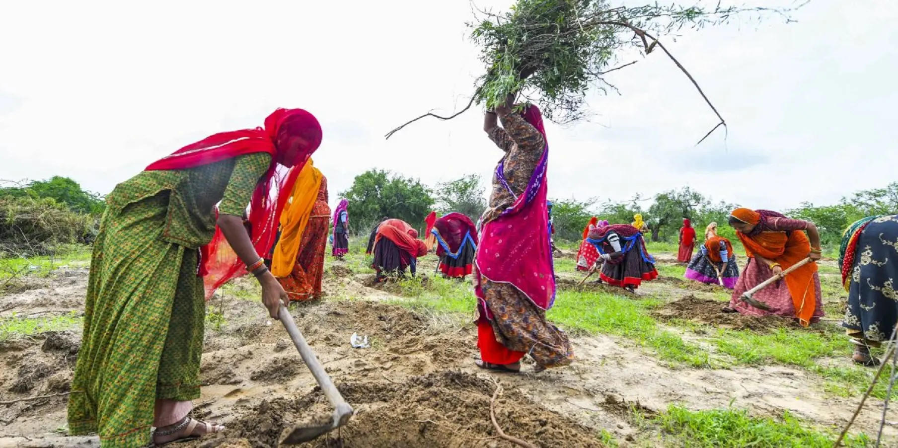 Union Budget 2026 allocates funds for both MGNREGA and VB-G RAM G schemes. What does this mean?