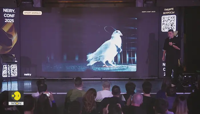 Russia's 'Spy Pigeons': Putin-Linked Firm Claims It Can Control Pigeons With Brain Implants
