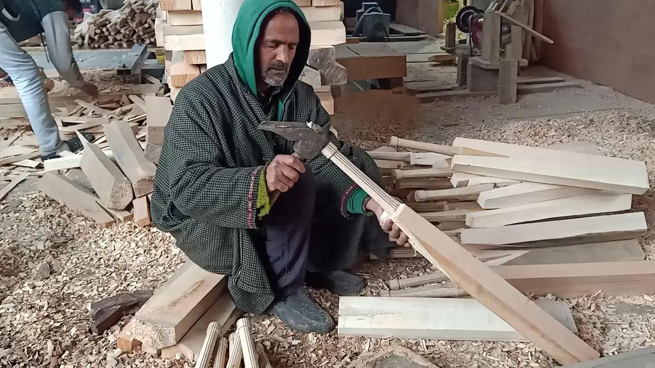 As MCC backs hybrid bats, Kashmir willow faces an identity test