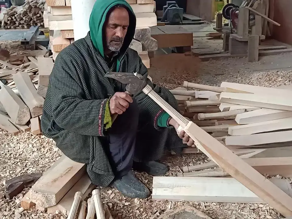 As MCC backs hybrid bats, Kashmir willow faces an identity test As MCC backs hybrid bats, Kashmir willow faces an identity test