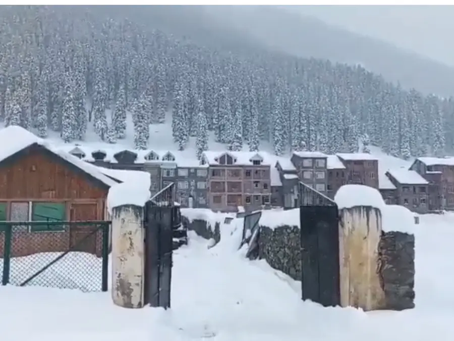 Snow returns, so do tourists: Kashmir sees tourism revival