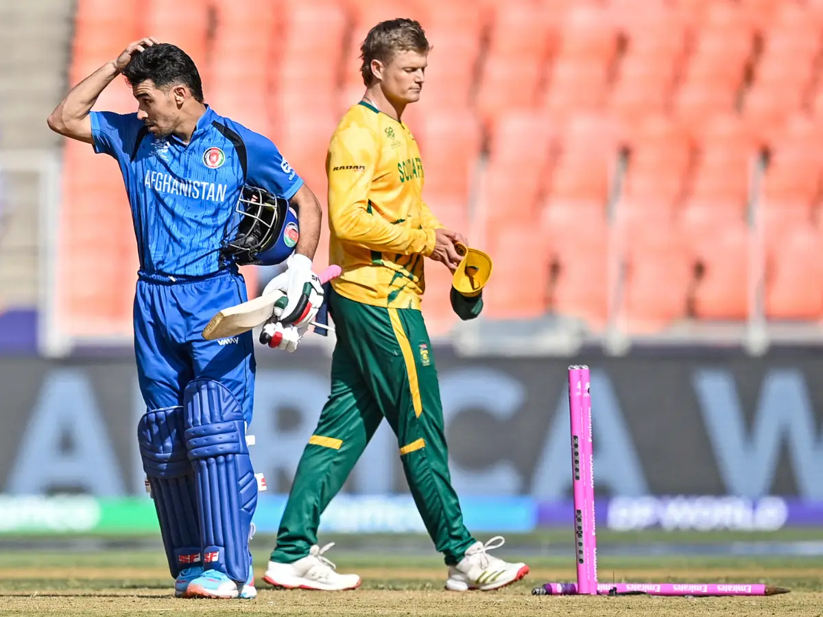2. South Africa (2024) - 8 Wins