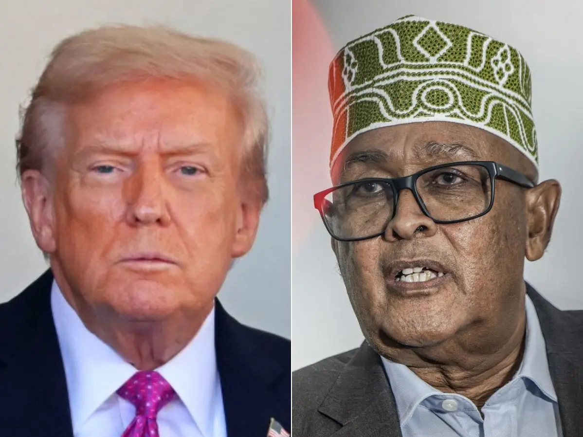 ‘We are open to offer’: Somaliland willing to give minerals, military bases to US ‘We are open to offer’: Somaliland willing to give minerals, military bases to US