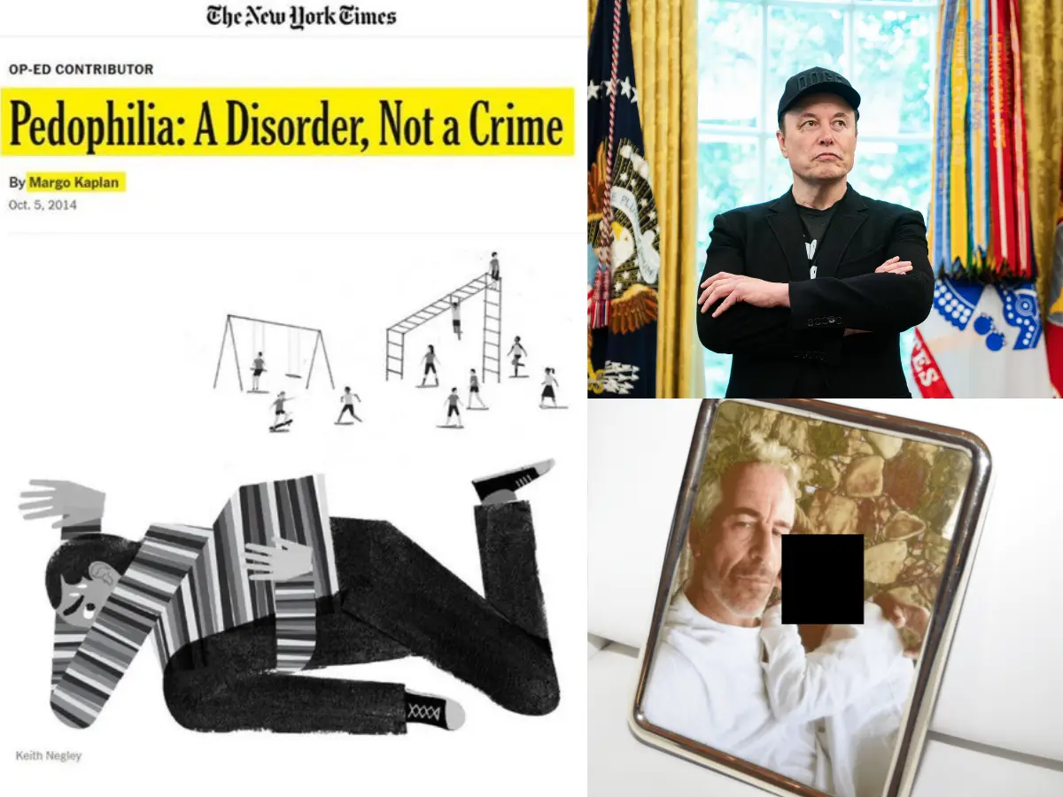 'Utterly disgusting’: Elon Musk blasts New York Times over 'paedophilia not a crime' article