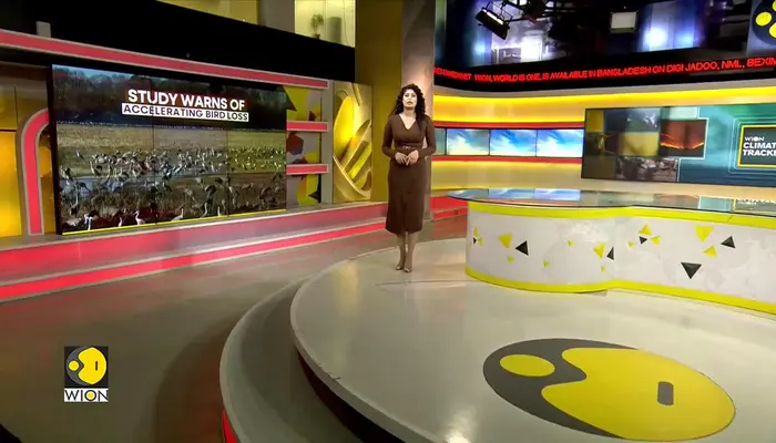 WionNews Video