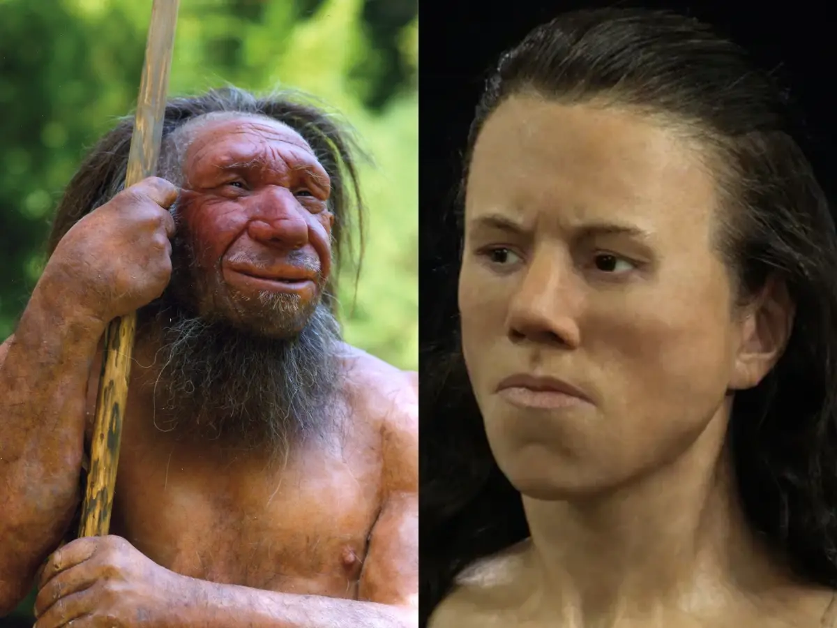 Human women preferred Neanderthal men. This solves a major DNA mystery