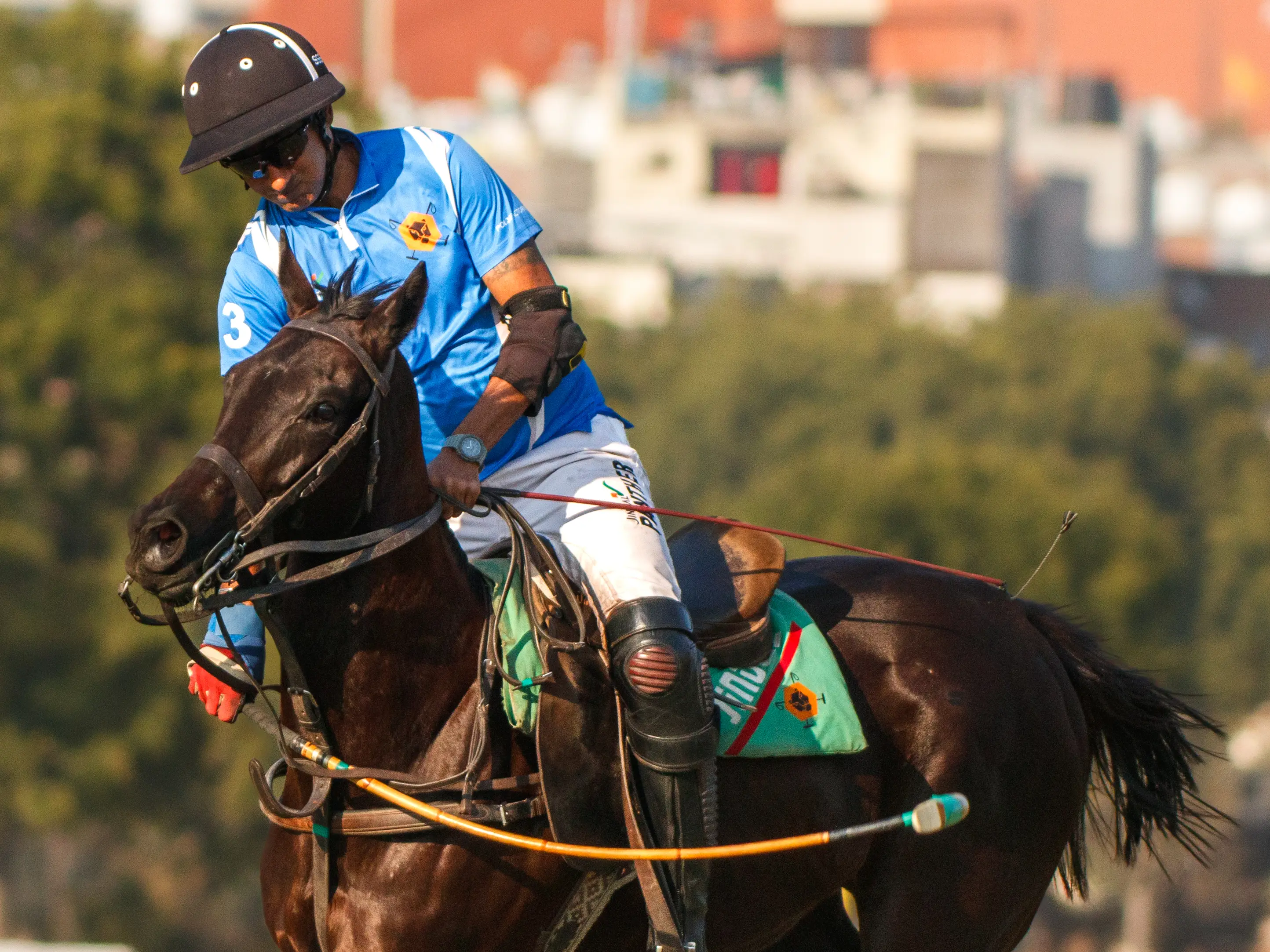 'Polo is a lifestyle, not a 9-to-5 job': Simran Shergill explains sport’s true essence 'Polo is a lifestyle, not a 9-to-5 job': Simran Shergill explains sport’s true essence