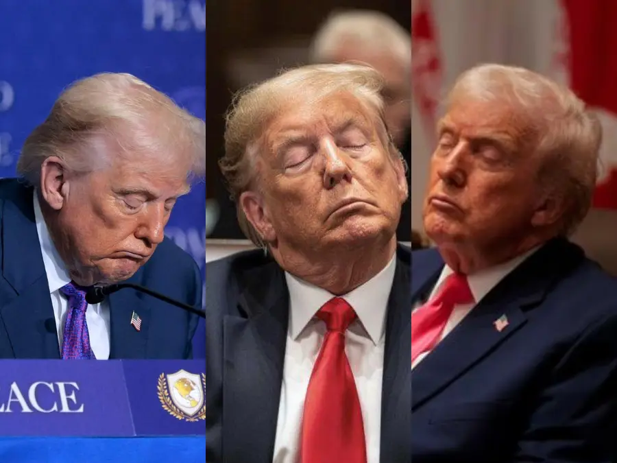 ‘Commander-in-Sleep’: Democrats roast sleepy Trump on National Napping Day