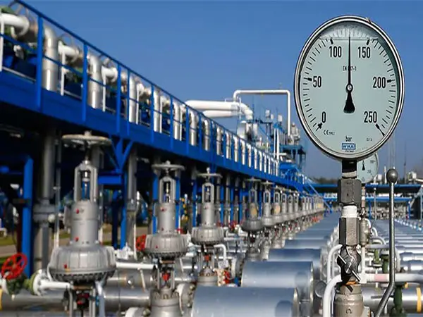 Piped Natural Gas (PNG)