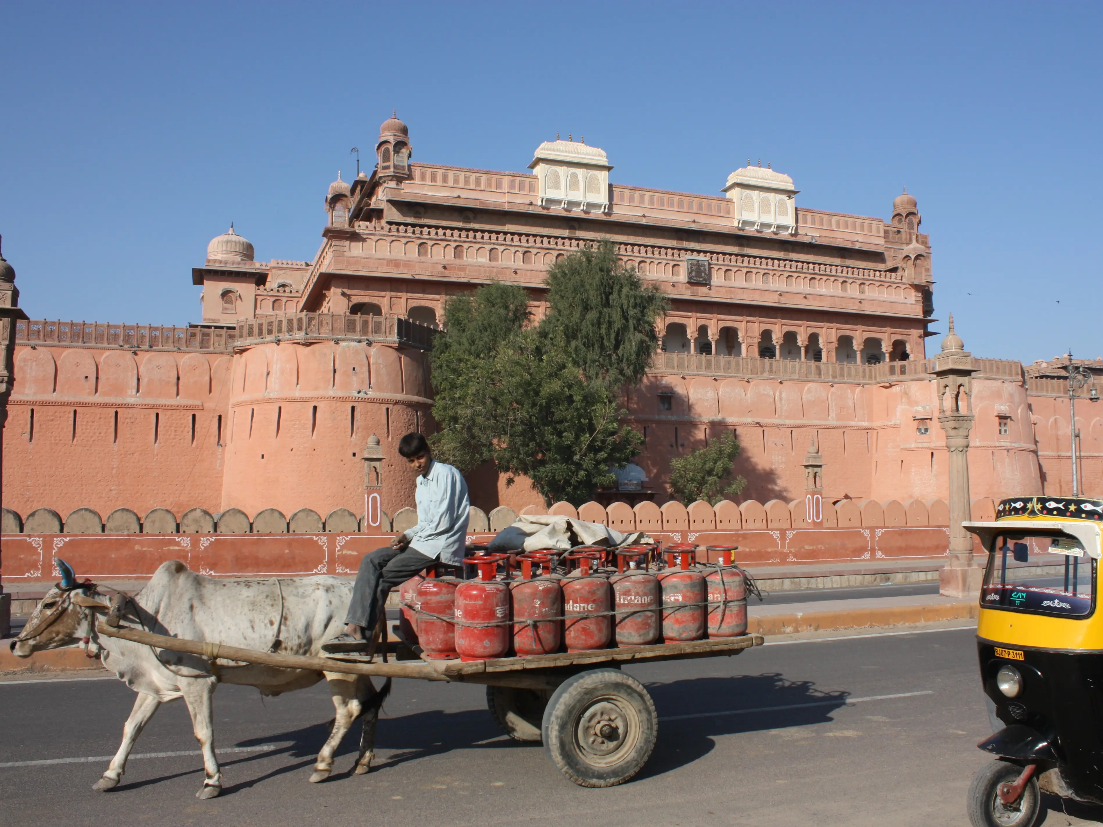 India's tryst with LPG: How the red cylinders became nation's main cooking fuel. A lookback amid Iran war shortage news India's tryst with LPG: How the red cylinders became nation's main cooking fuel. A lookback amid Iran war shortage news
