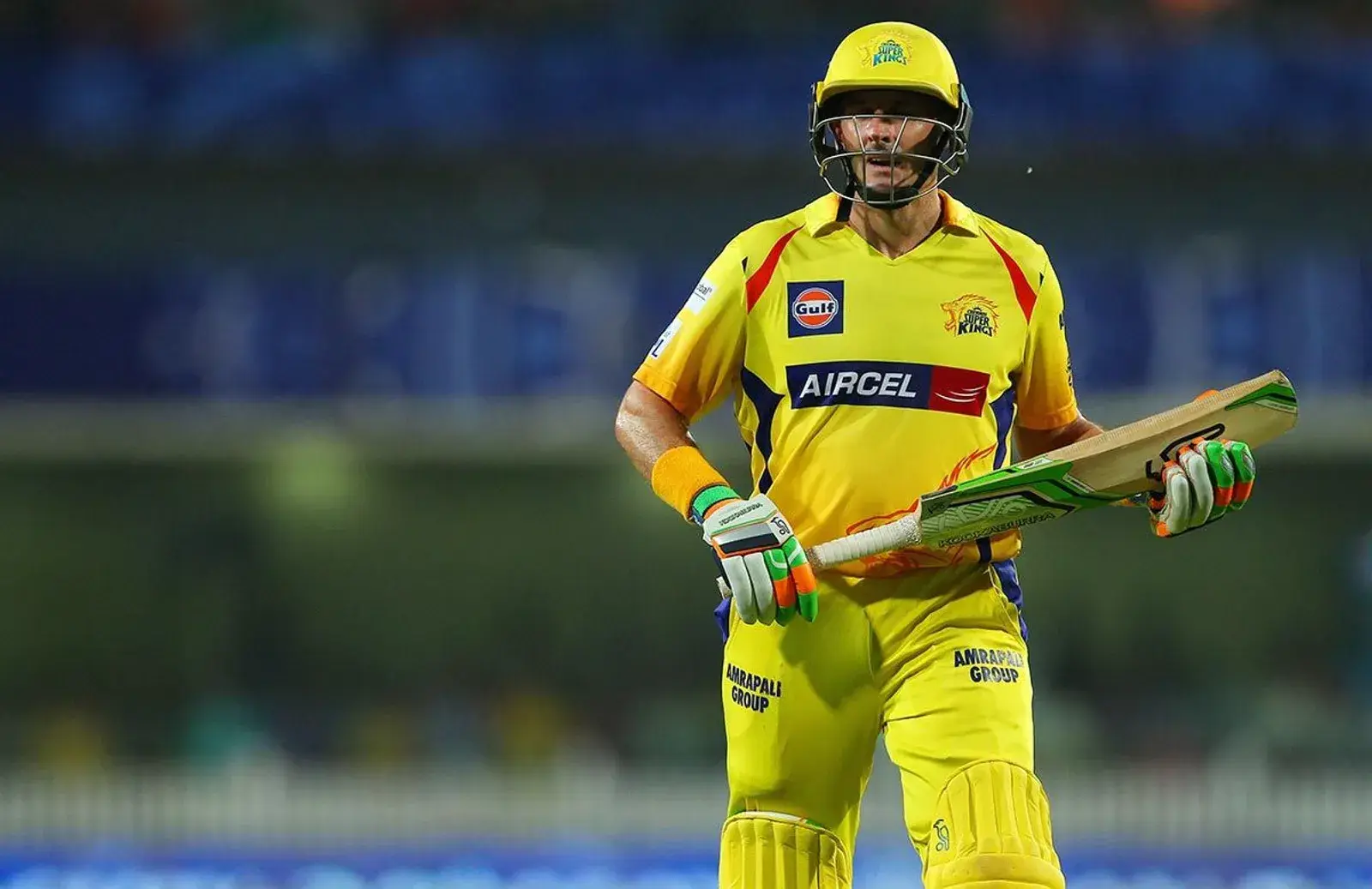 Michael Hussey (733 runs in the 2013 edition)
