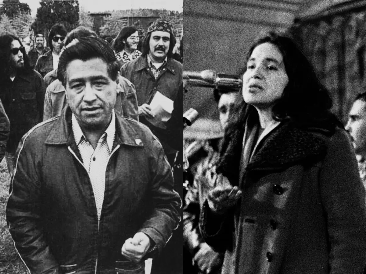 The Fall of a Civil Rights Icon