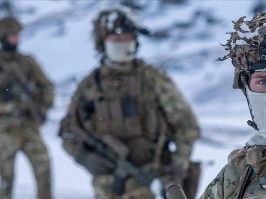 Blood, bombs & more: Denmark prepared for potential US strike in Greenland-Report
