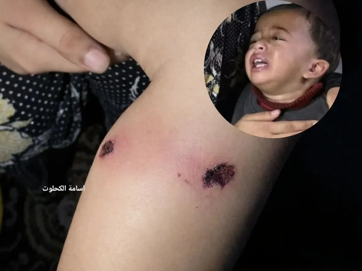 Palestinian media alleges 1-year-old boy 'tortured by Israeli forces' in Gaza to 'extract confession' from father Palestinian media alleges 1-year-old boy 'tortured by Israeli forces' in Gaza to 'extract confession' from father