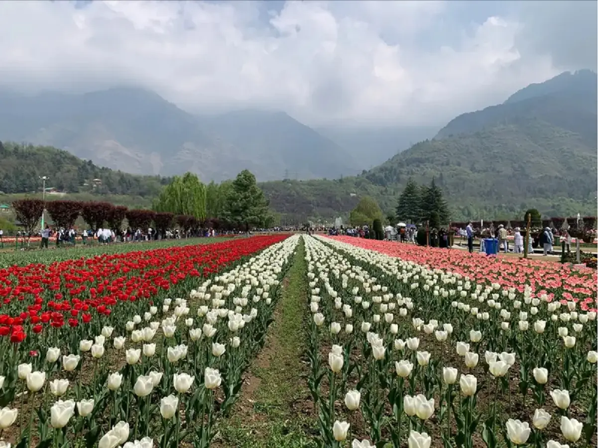 Kashmir witnesses tourism spike, authorities ramp up security Kashmir witnesses tourism spike, authorities ramp up security