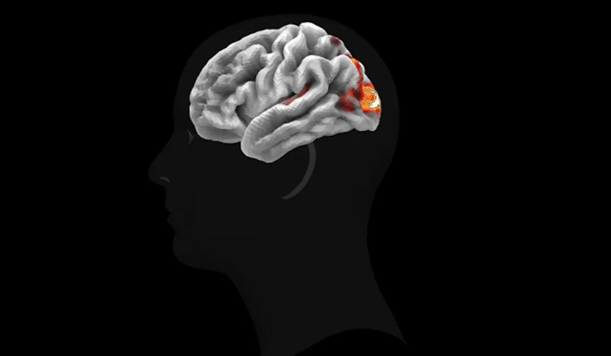 TRIBE v2: Meta introduces AI model that can predict human brain activity