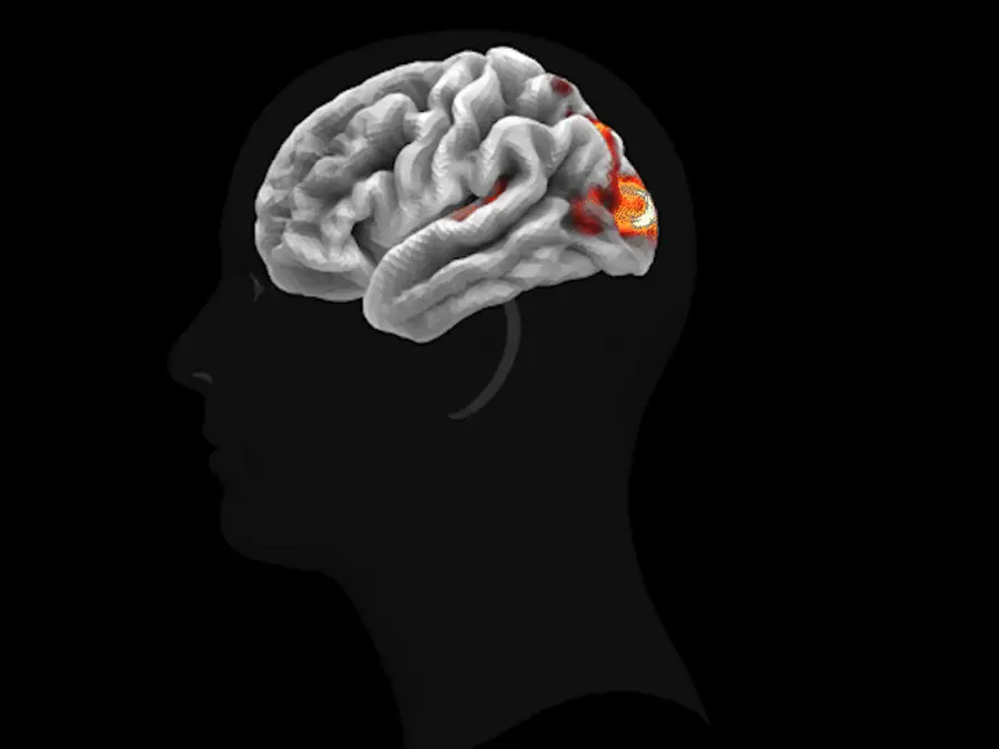 TRIBE v2: Meta introduces AI model that can predict human brain activity