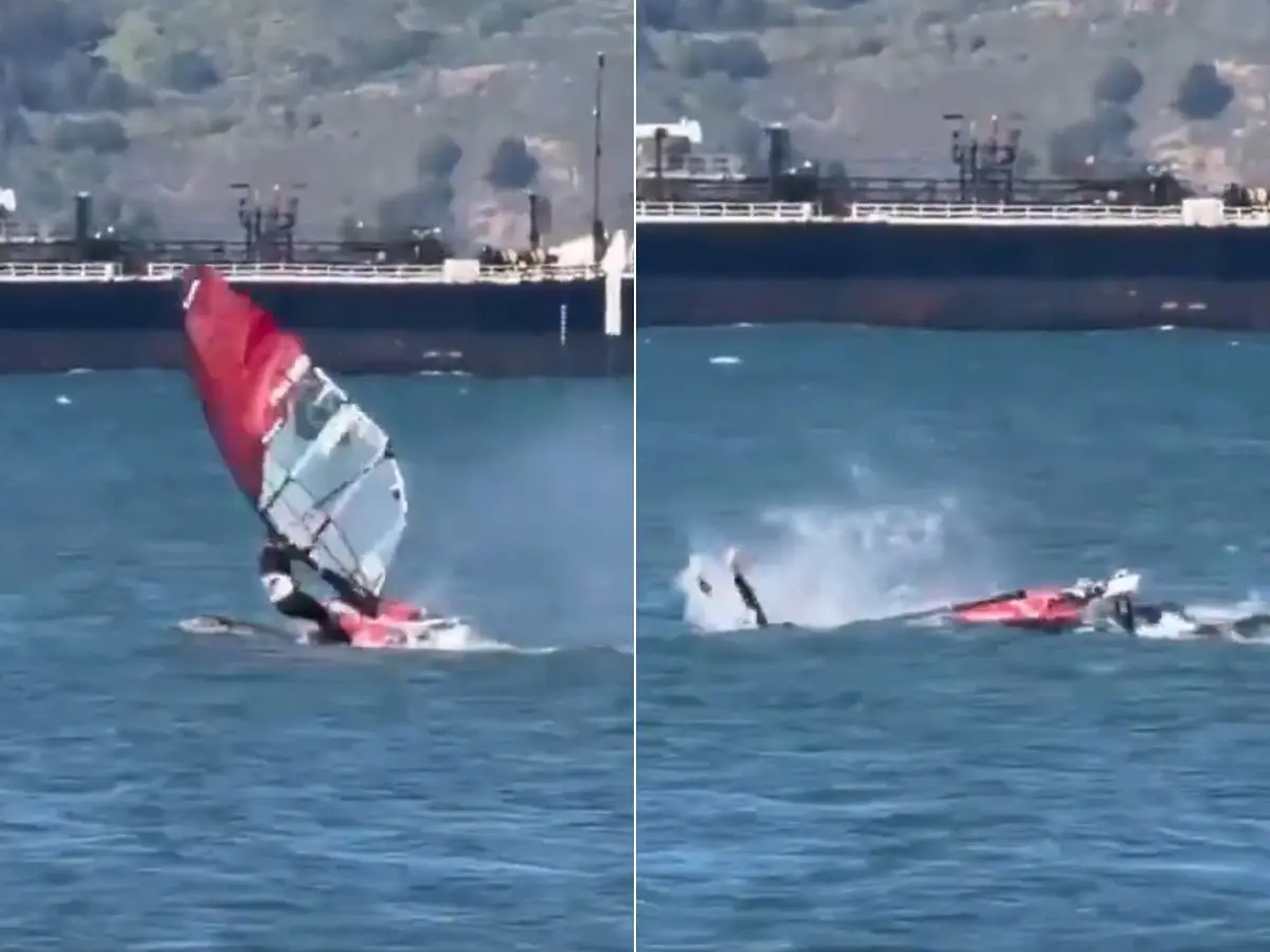 ‘Insane’ video captures windsurfer colliding with massive whale | WATCH ‘Insane’ video captures windsurfer colliding with massive whale | WATCH