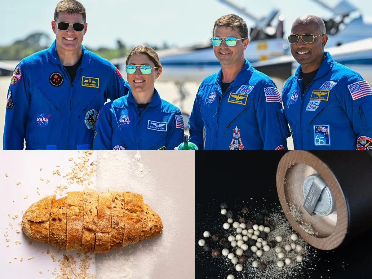 Artemis II mission: Why NASA’s 189-Item menu omits bread, salt & pepper. How these everyday foods become hazardous in space Artemis II mission: Why NASA’s 189-Item menu omits bread, salt & pepper. How these everyday foods become hazardous in space
