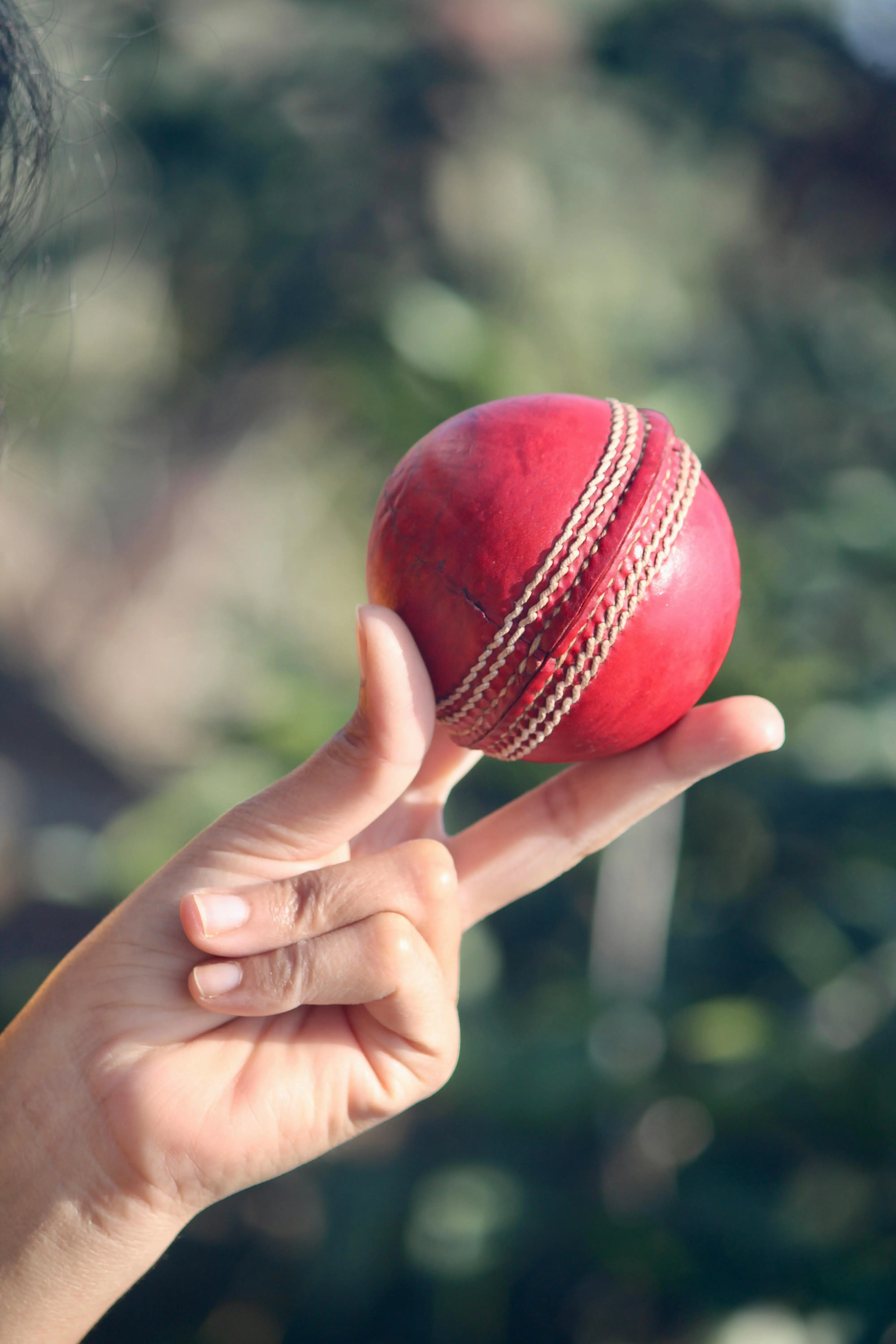 Indian Cricket League: The first attempt at a commercial cricketing extravaganza