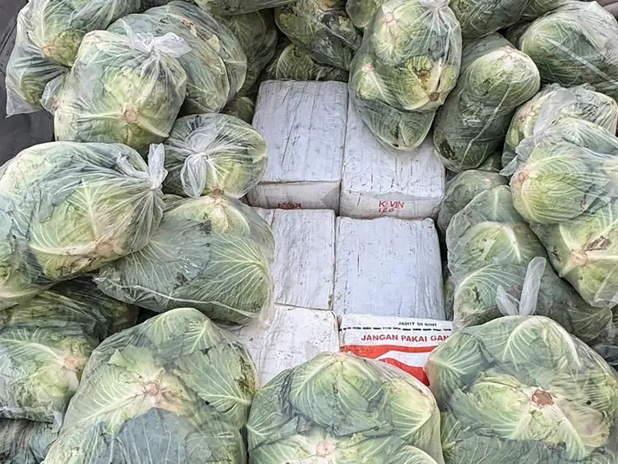 Cabbage hack to hide ketamine and meth: Thai police uncover massive drug truck
