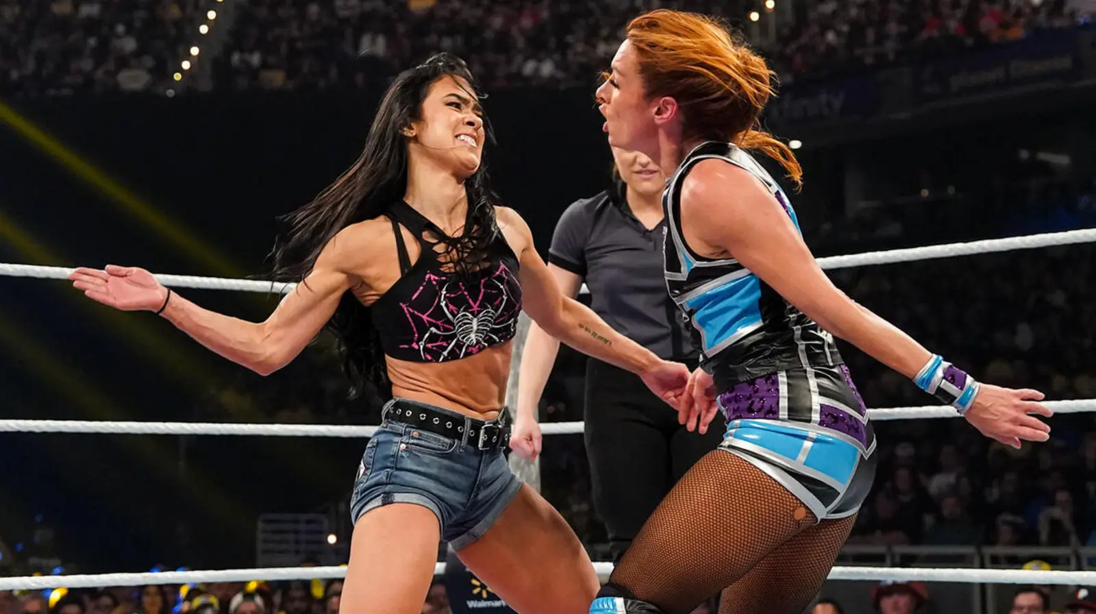 AJ Lee vs Becky Lynch