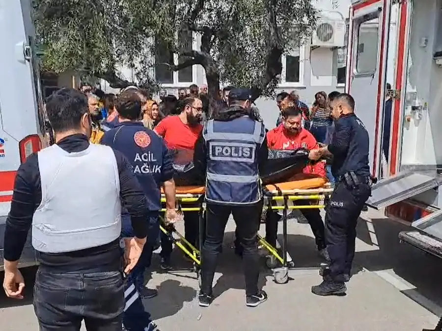 Nine killed, 20 injured in second school attack in Turkey